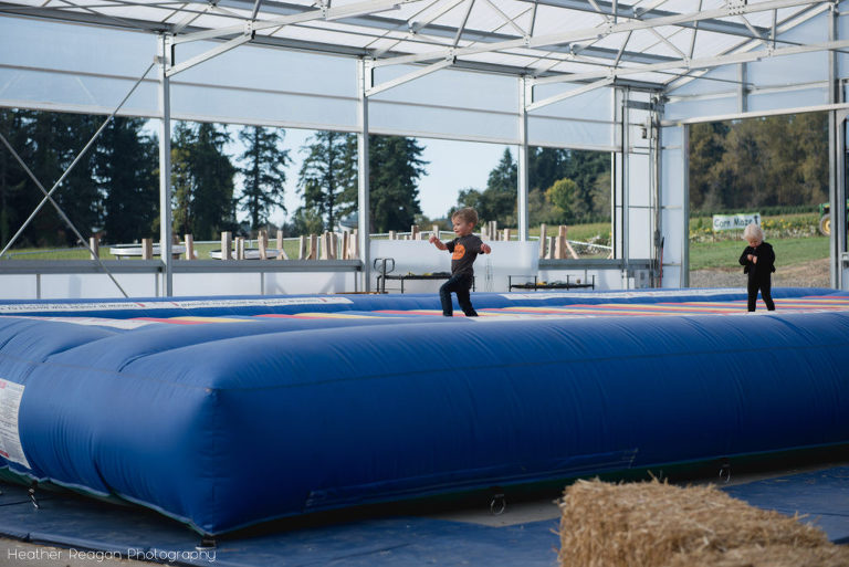 Red Berry Barn - Bounce pillow