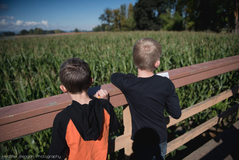 The Pumpkin Patch - Scoping out the corn maze from above