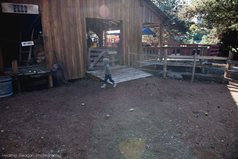 Roloff Farms - Western town